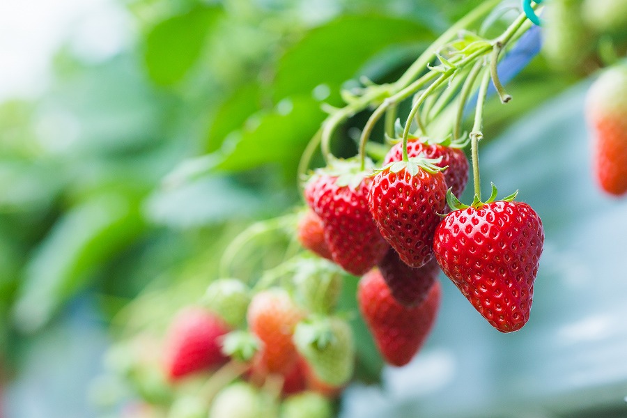 AdobeStock_135992610