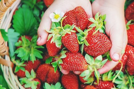 AdobeStock_322335625