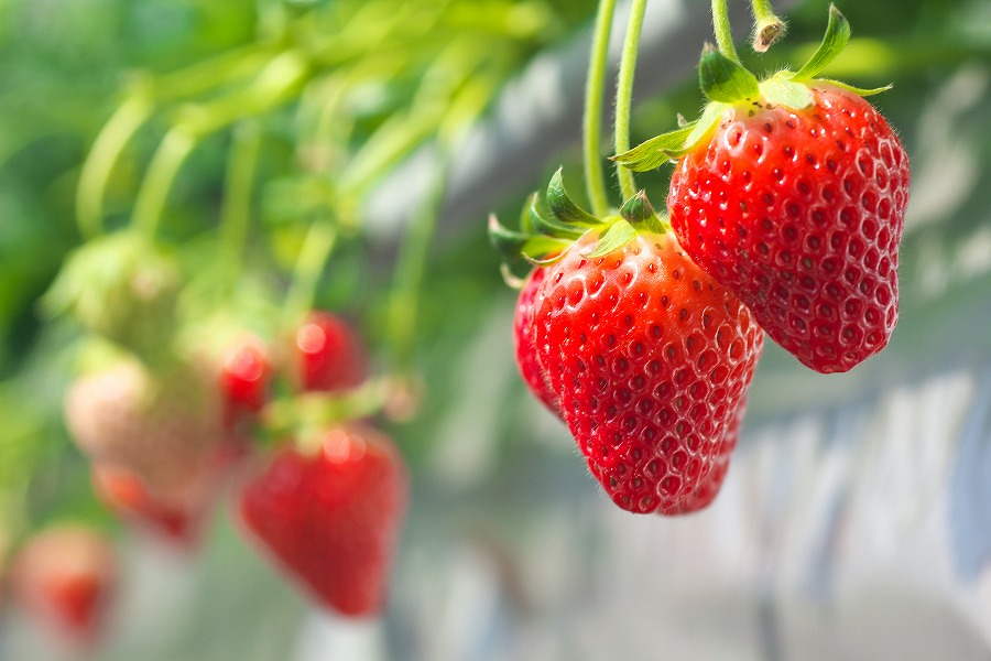 AdobeStock_505905139