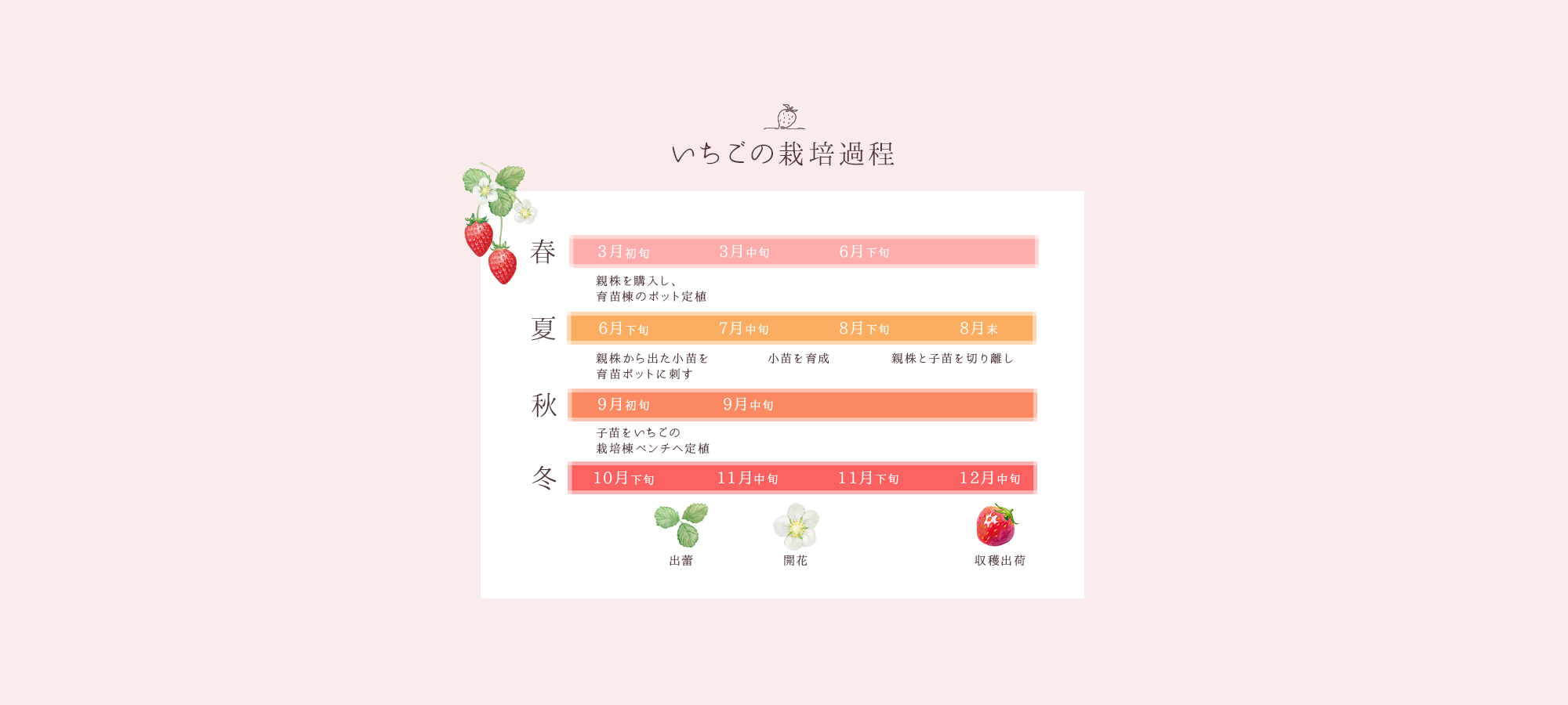 content01